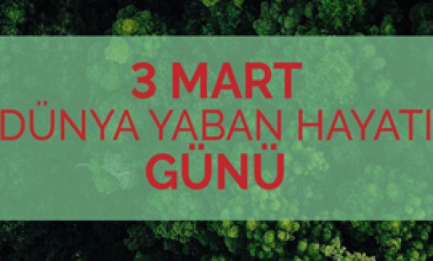 3 Mart Dünya Yaban Ha